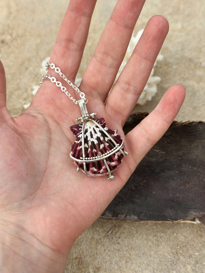 Scallop locket