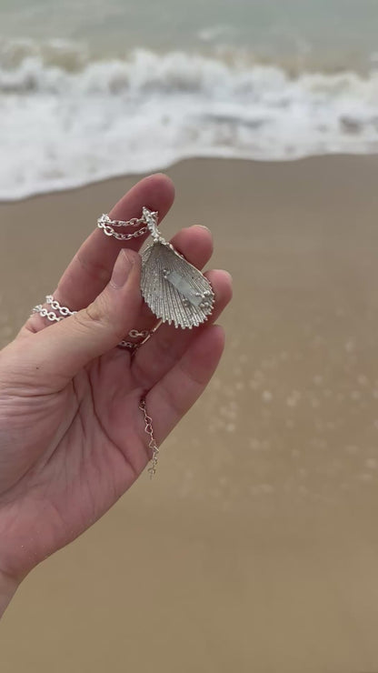 ‘Nerida’s Gift’